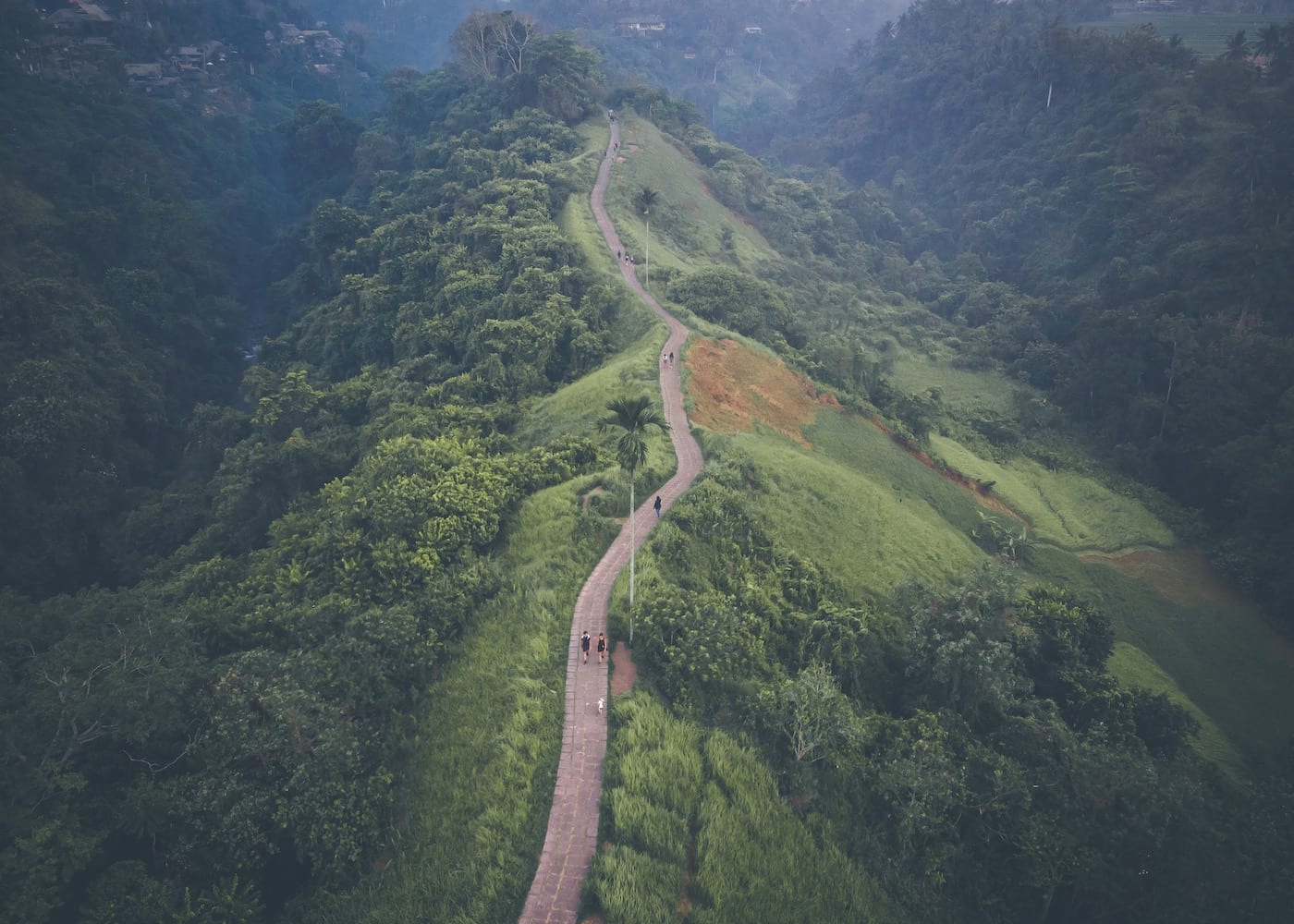 Campuhan Ridge, must-visit in Ubud - one of the most beautiful places in Bali Indonesia