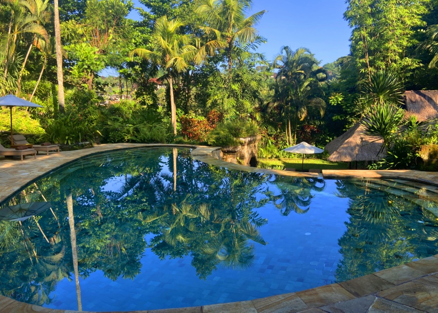 The infinity pool at ibah hotel in Ubud, Bali, Indonesia