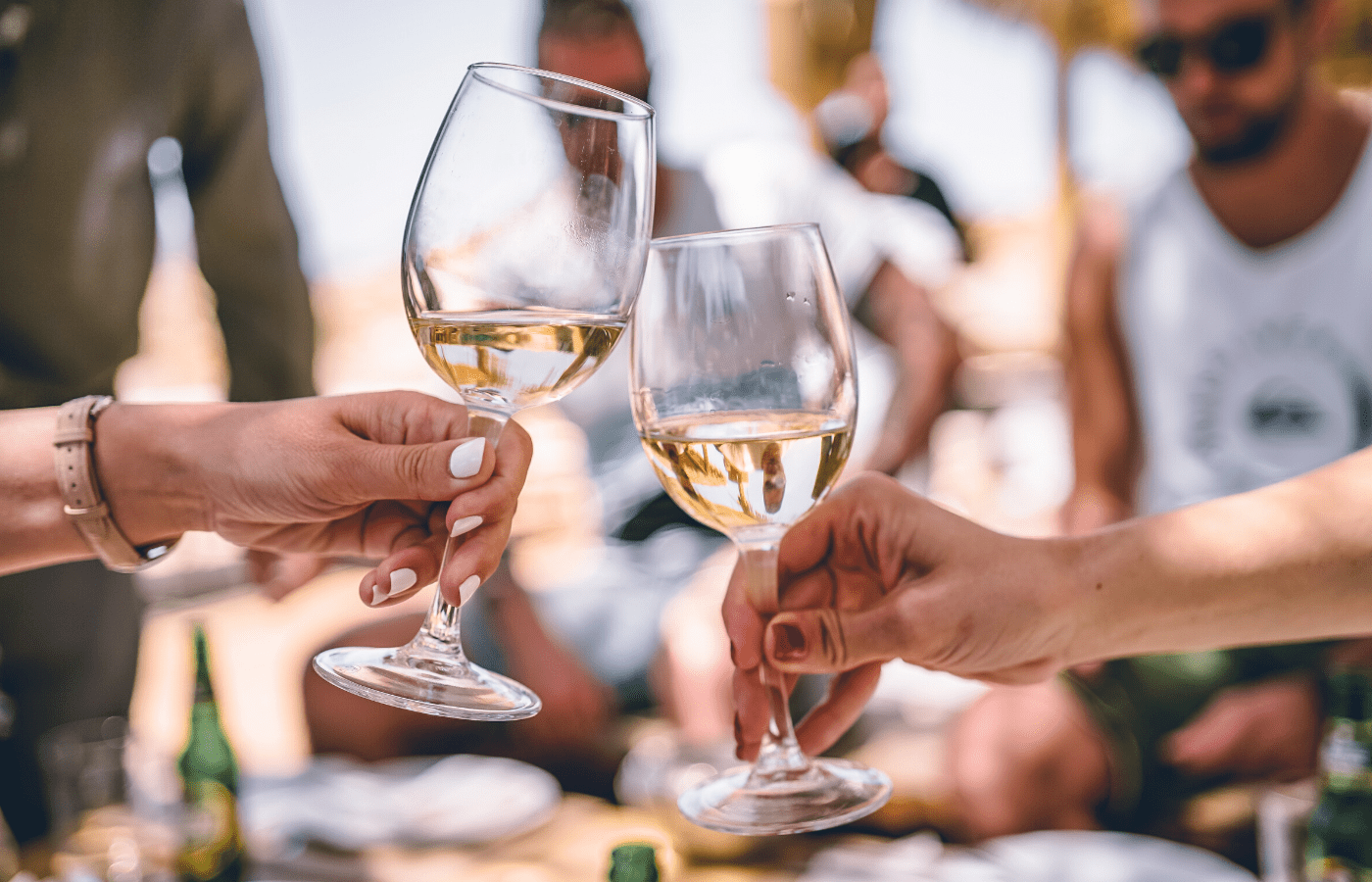 wine glasses | phase 2 dining