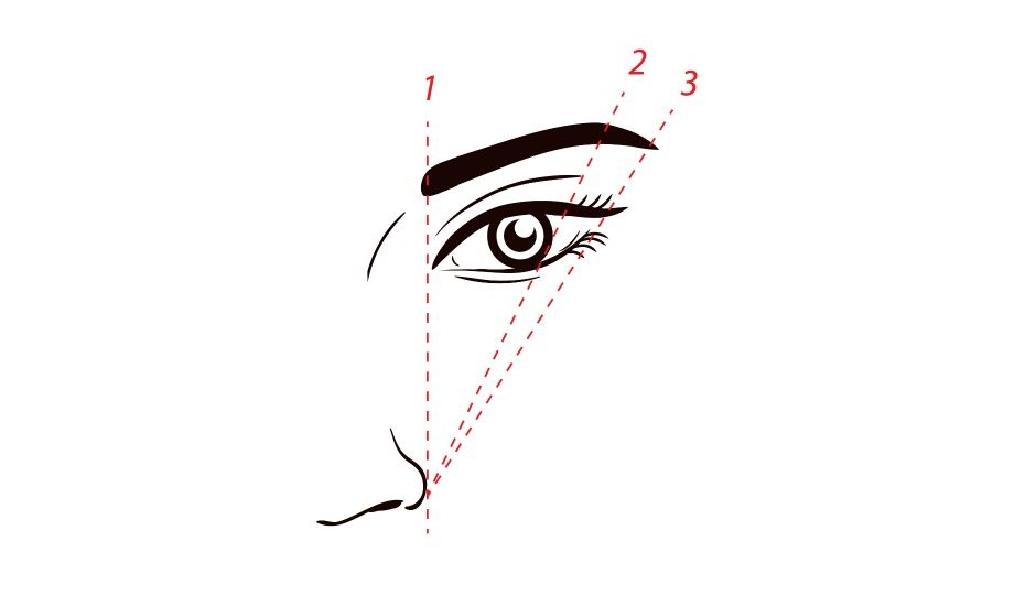 Eyebrow guide: Eyebrow shaping diagram