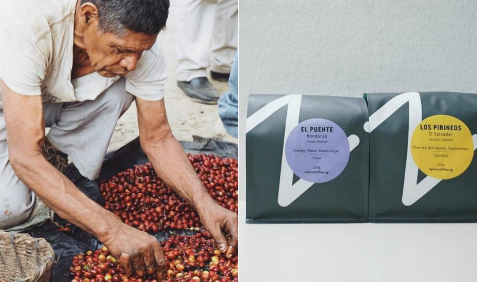 Nylon Coffee Roasters | Coffee Roasters in singapore
