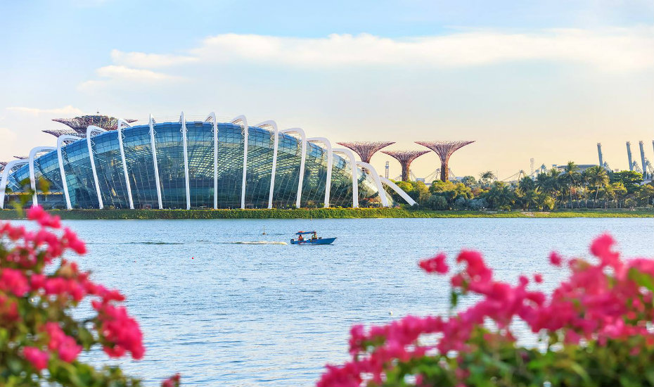 gardens by the bay