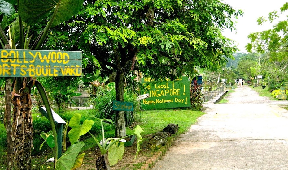 cycling routes in singapore | bollywood veggies