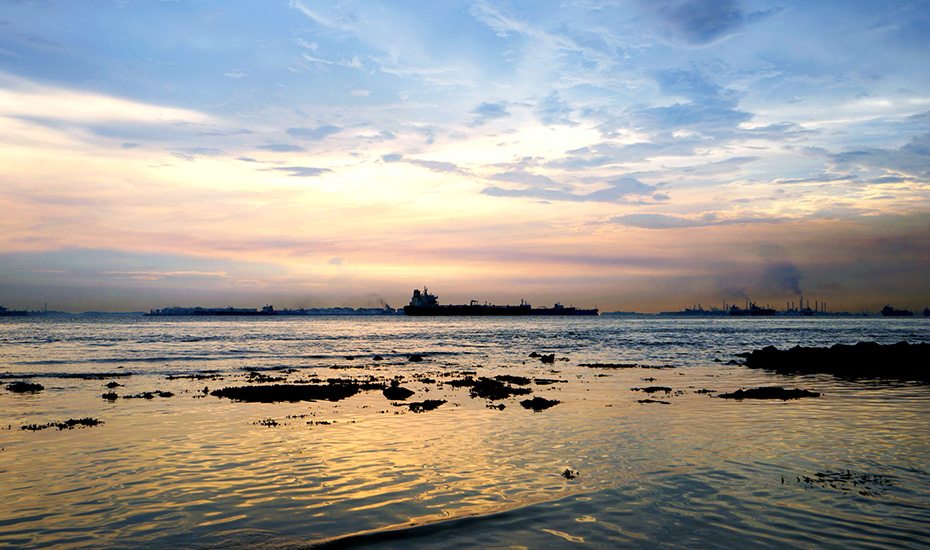 Jenny Zhang Shutterstock Singapore Honeycombers Sisters Island