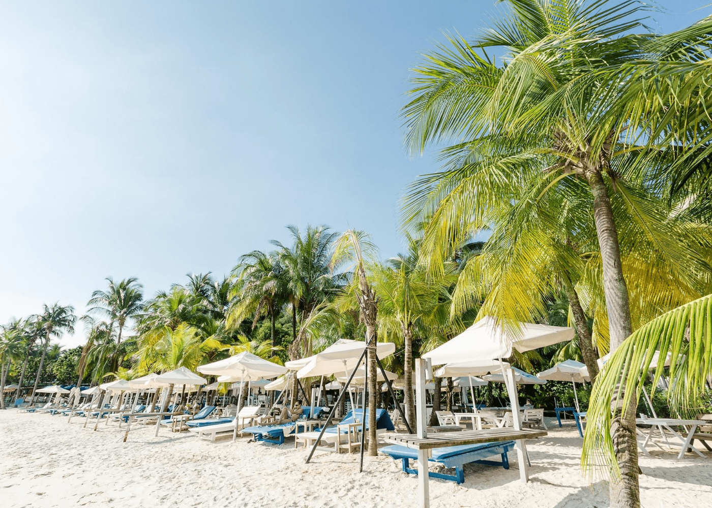coastes beach bar | things to do in sentosa