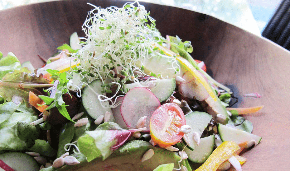 Healthy food in Singapore: The Living Cafe