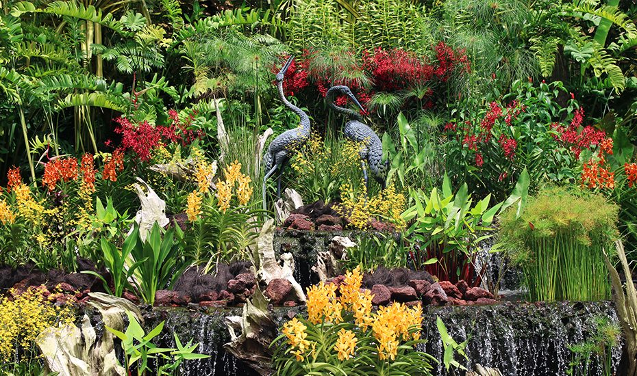 National Orchid Garden | Singapore Botanic Gardens