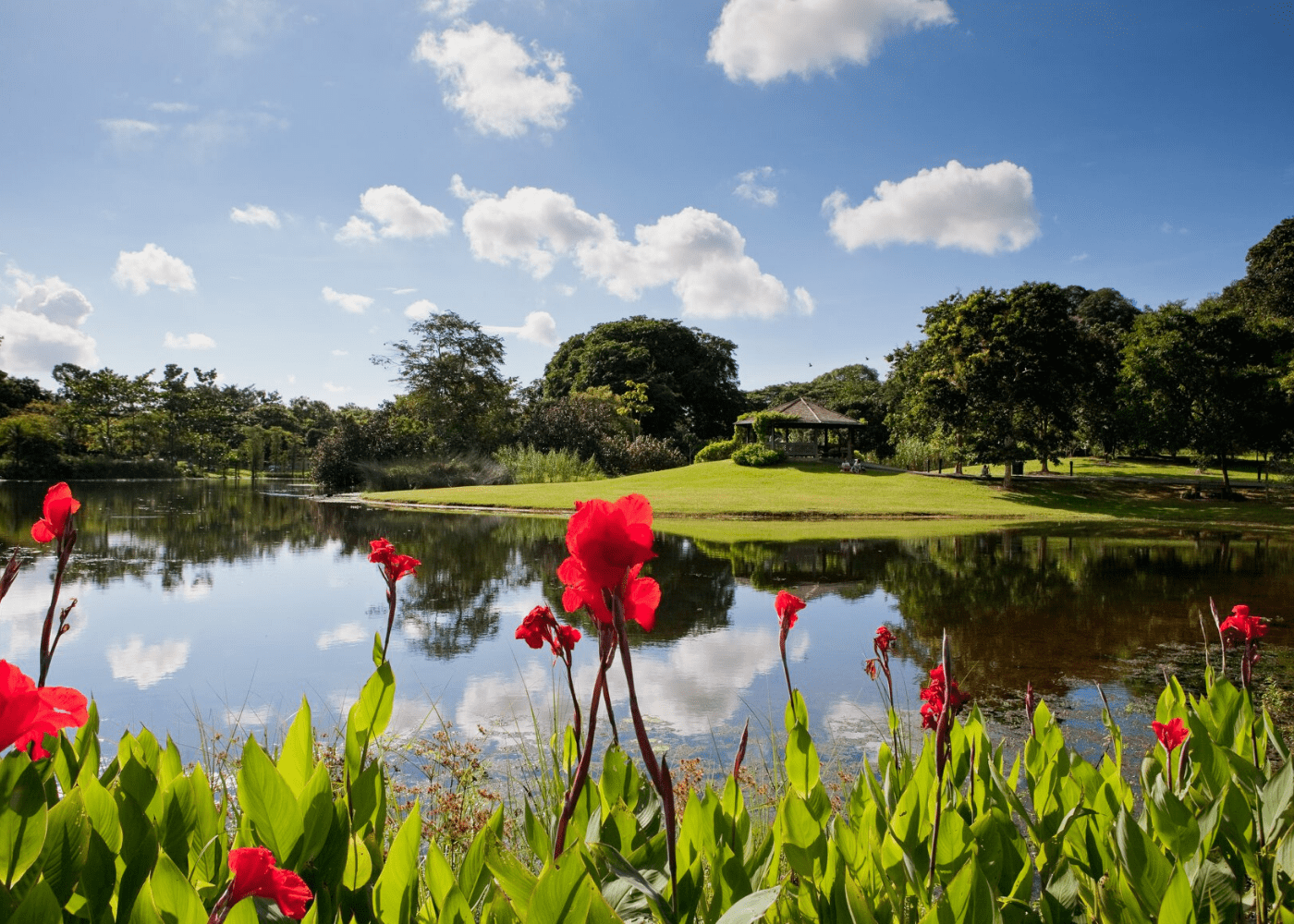 singapore botanic gardens | free things to do in singapore