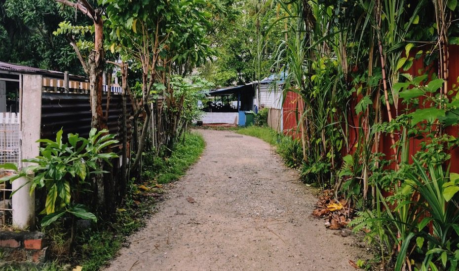 Exploring the Last Kampong in Singapore: Kampong Lorong Buangkok | secret spots in singapore