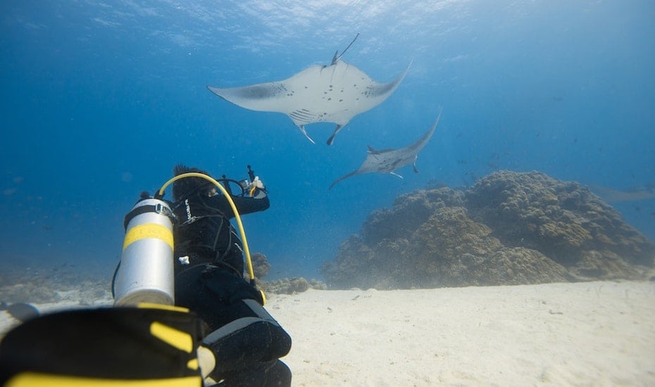Swim amidst Manta Rays at Mergui Archipelago | Best scuba diving sites in Southeast Asia