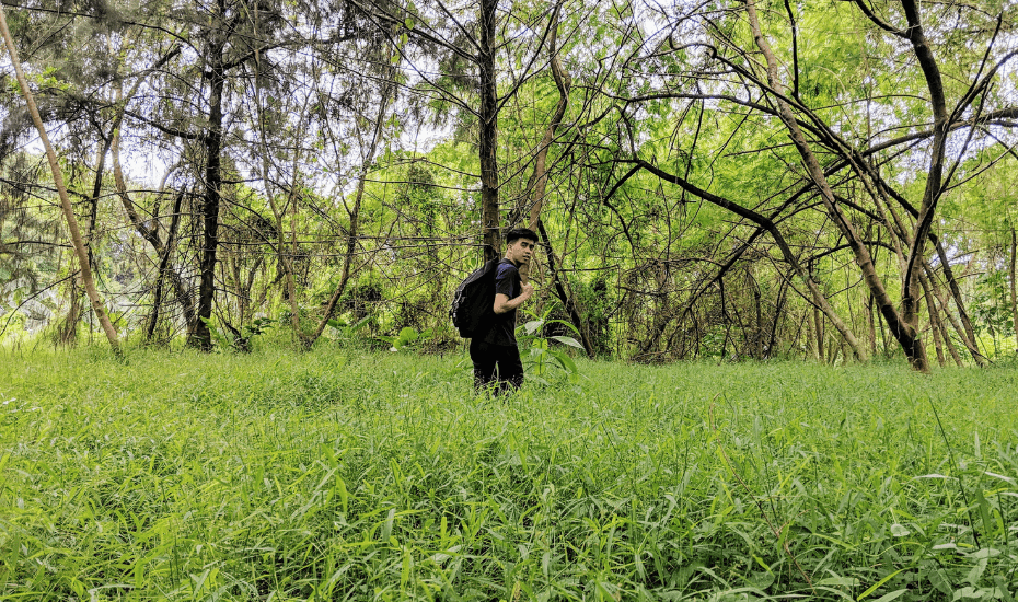 grass | off the beaten path | Lord Acuña | Follow our hike to the abandoned Keppel Hill Reservoir