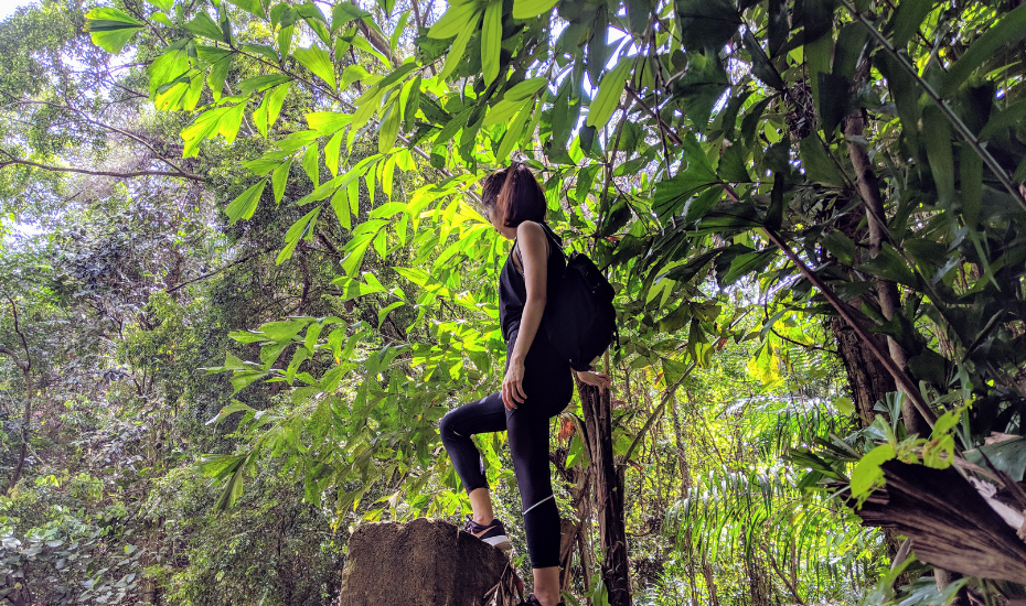 diving board | Amelia Ang | Follow our hike to the abandoned Keppel Hill Reservoir