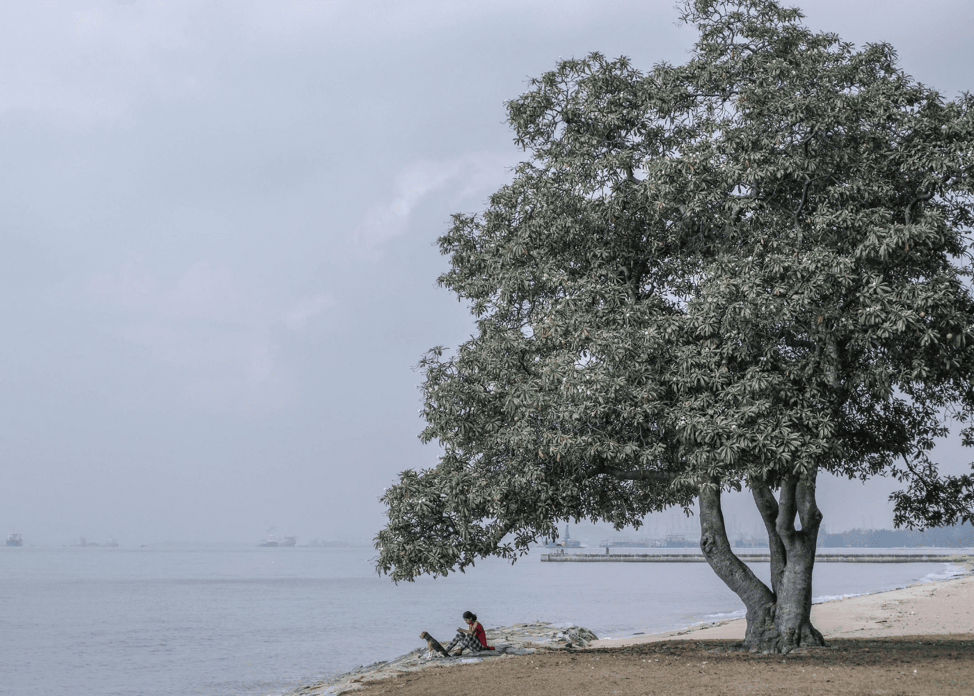 Things to do in East Coast Park | East Coast Park beach