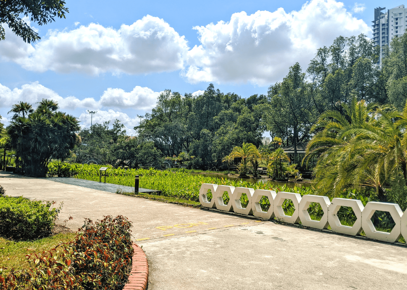 Toa Payoh guide: Toa Payoh Town Park