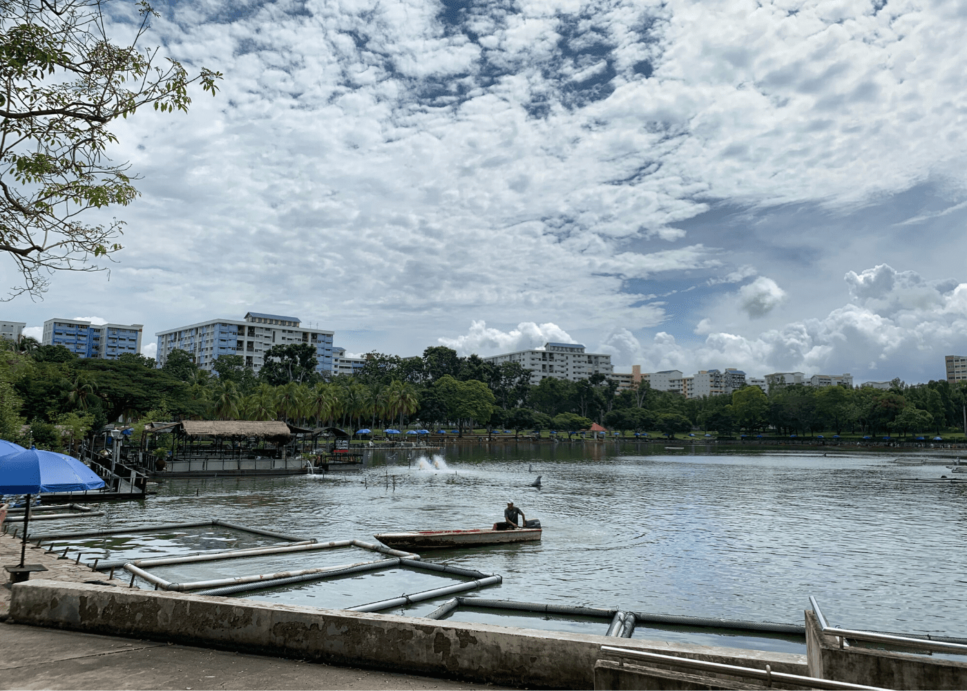D'Best Fishing Pond | fishing in singapore