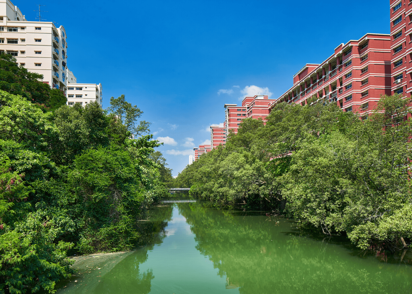 Sungei Api Api riverfront HDB