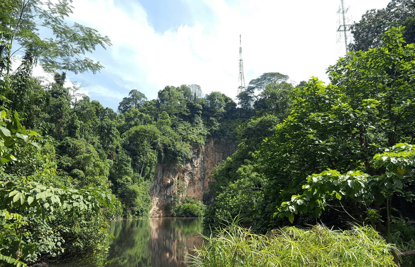bukit batok nature park | nature walks singapore