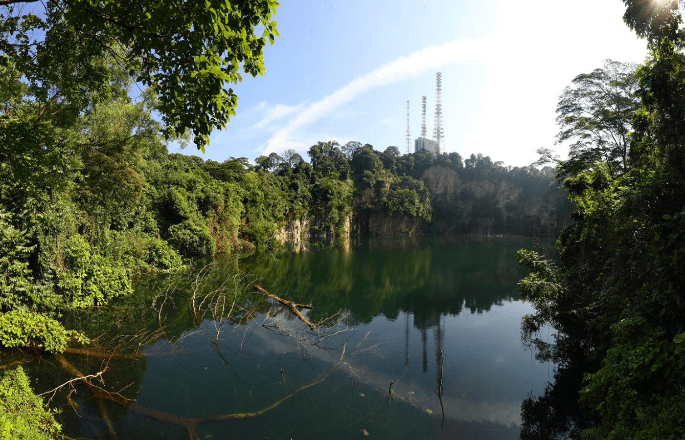 bukit timah hill: live in singapore