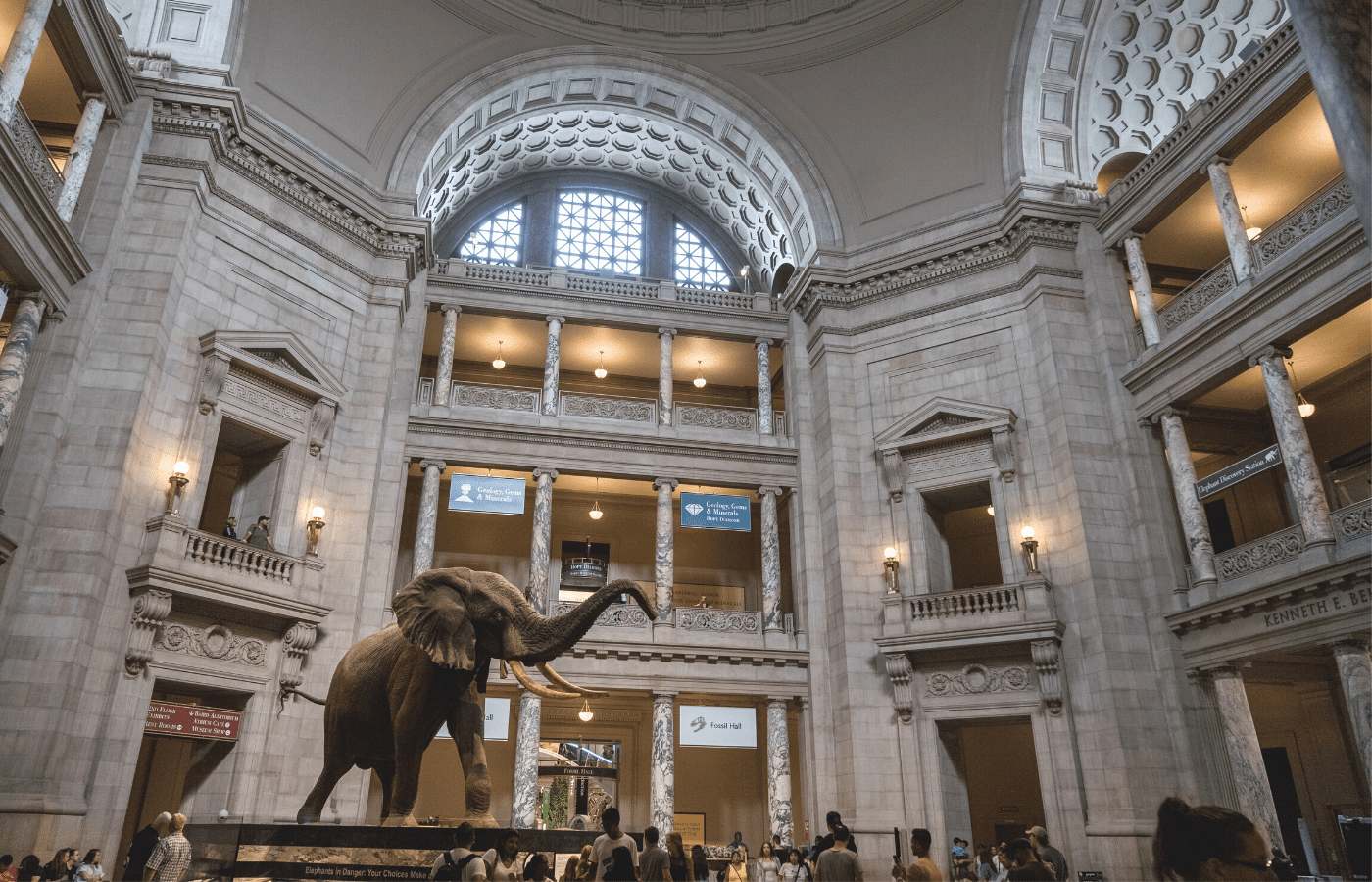 smithsonian museum