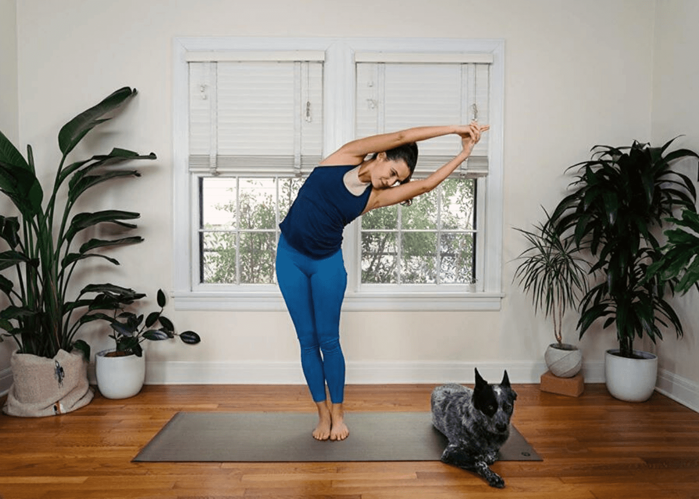 free home workout fitness classes