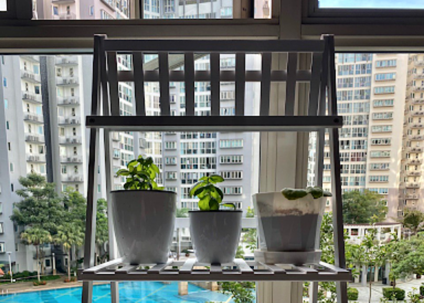 Unleash the green thumb