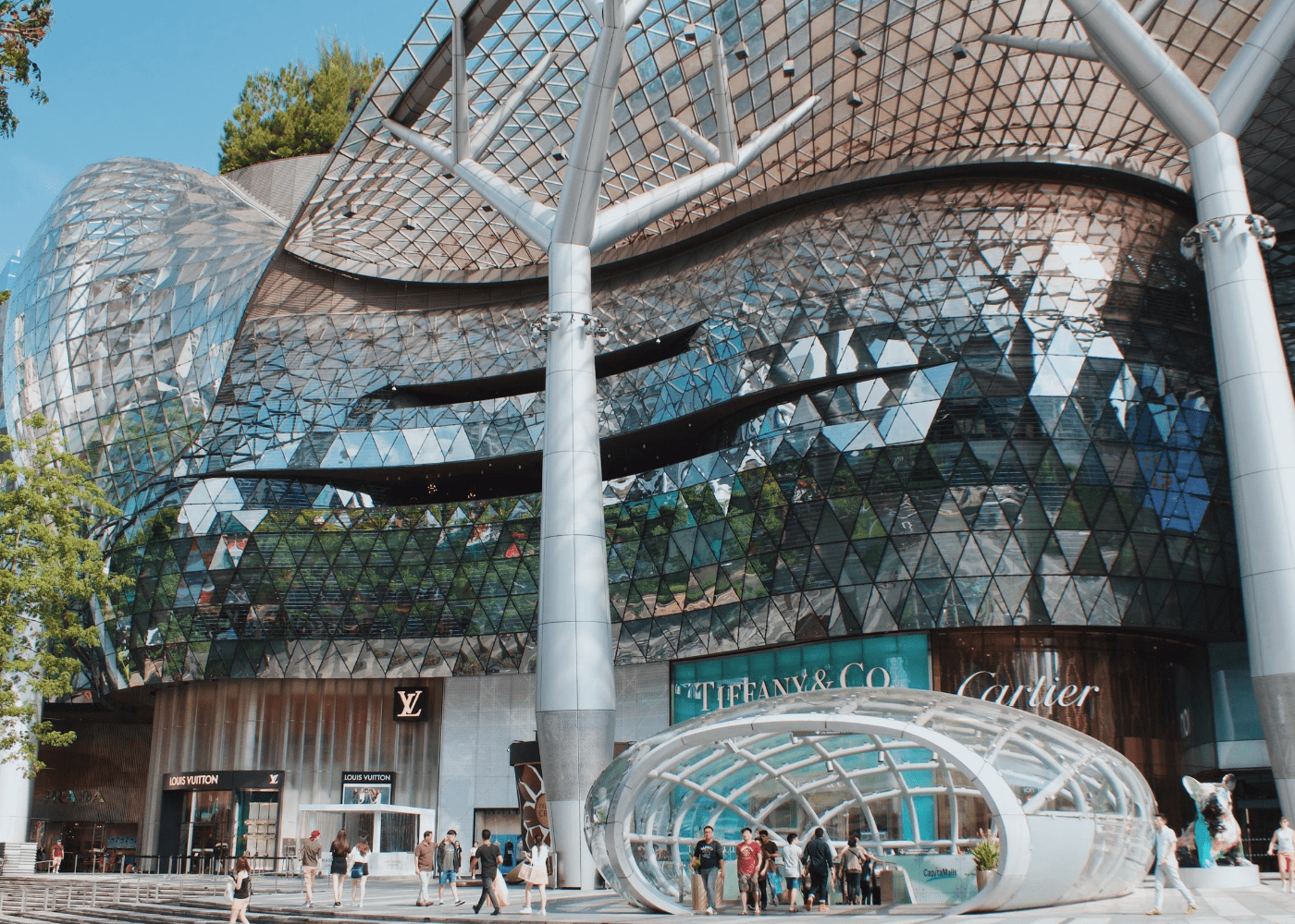 credit card for shopping | ion orchard