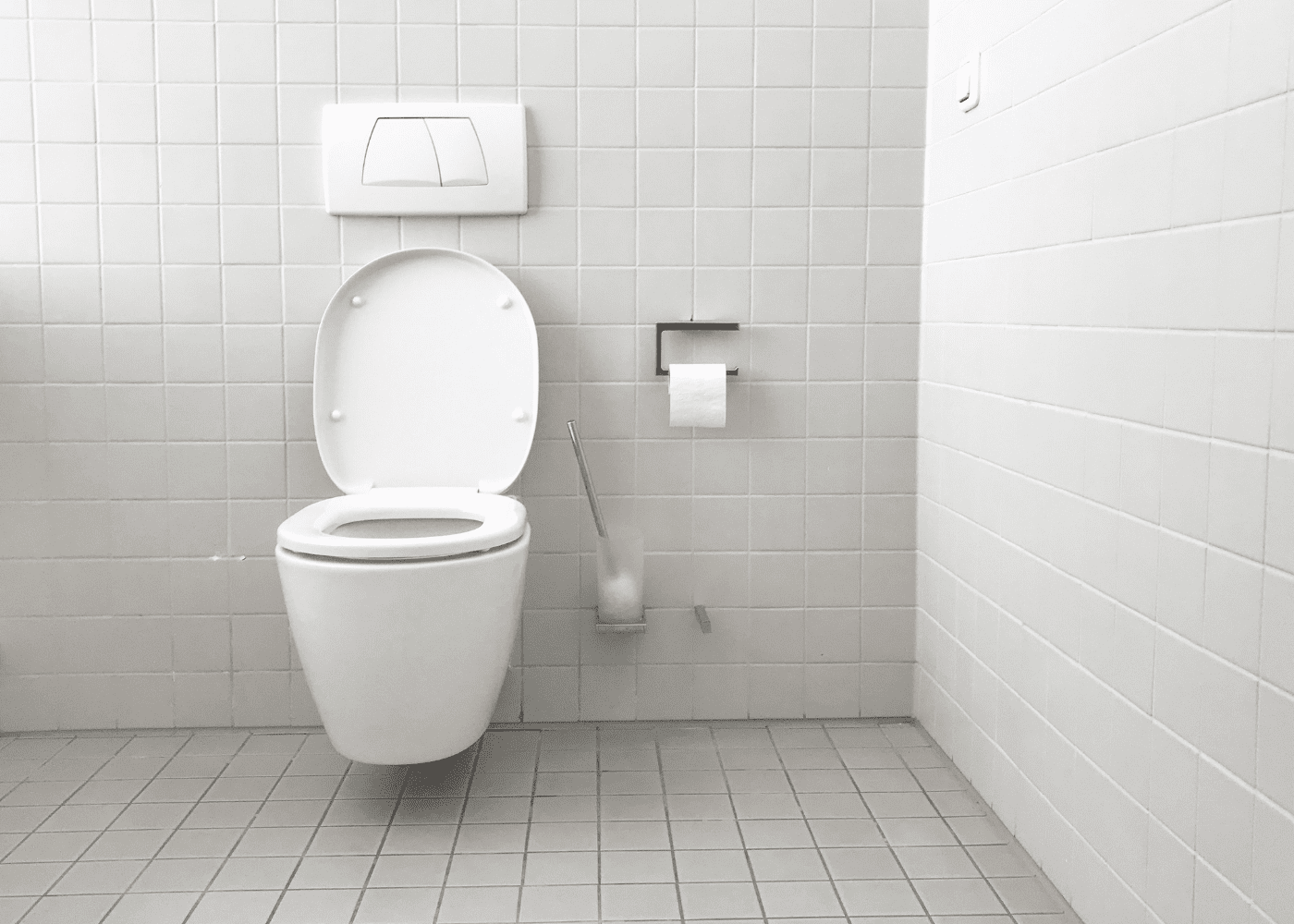 Strange Singapore law: You better flush after using the public toilet