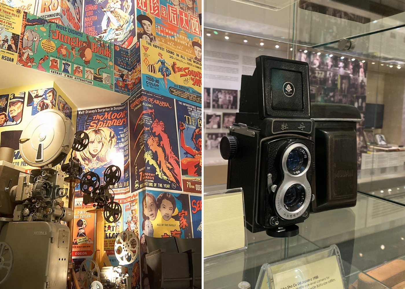 cathay gallery | secret museums in singapore