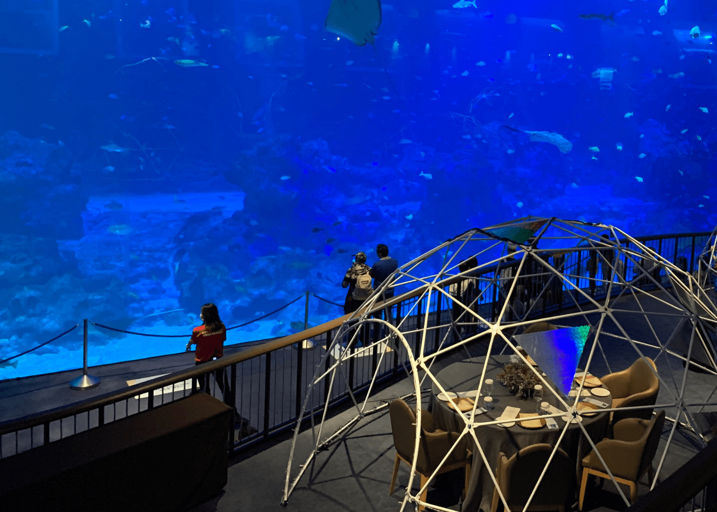 s.e.a aquarium | life in the new normal SG