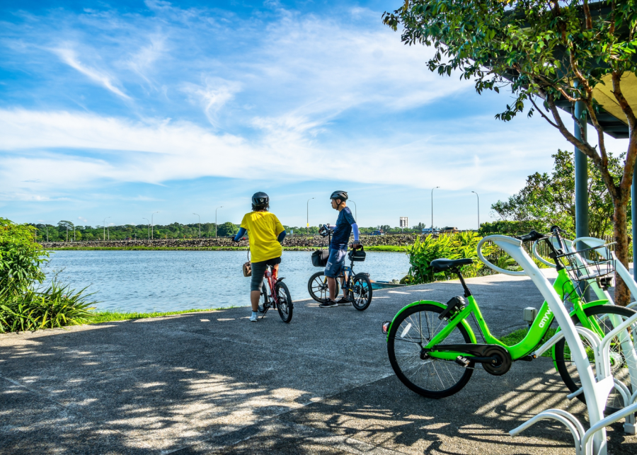Pedal away on the best cycling routes in Singapore to admire scenic sea views and the city’s famous attractions