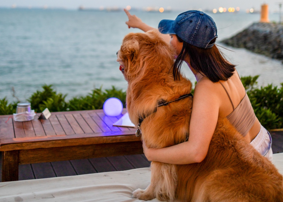 stella seaside lounge - dog friendly cafe singapore