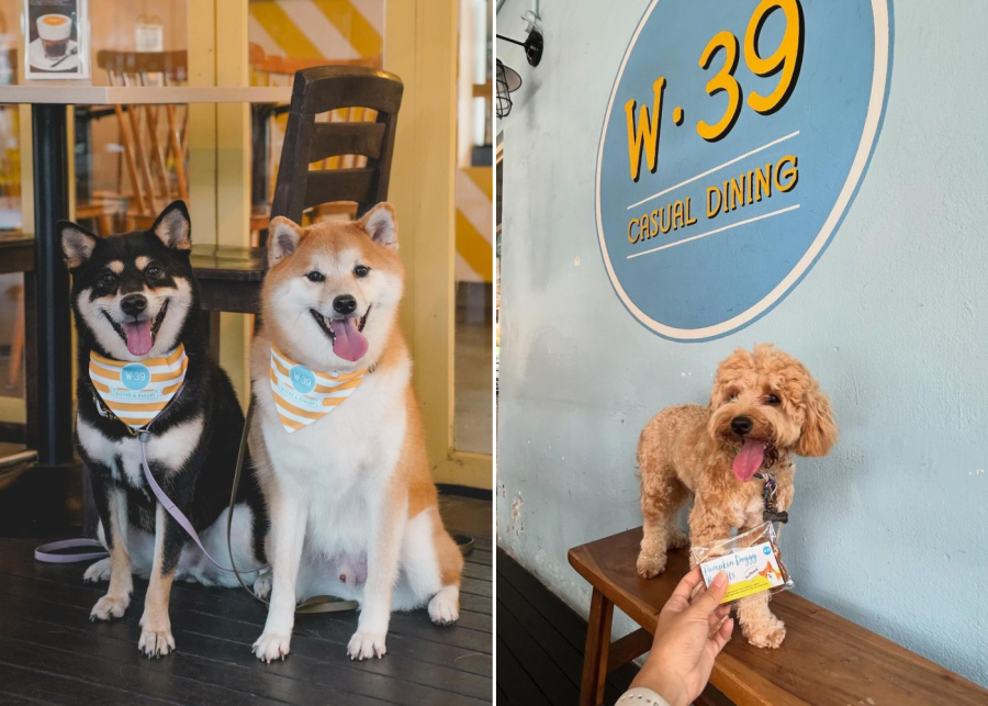w39 bistro and bakery - dog-friendly cafe singapore