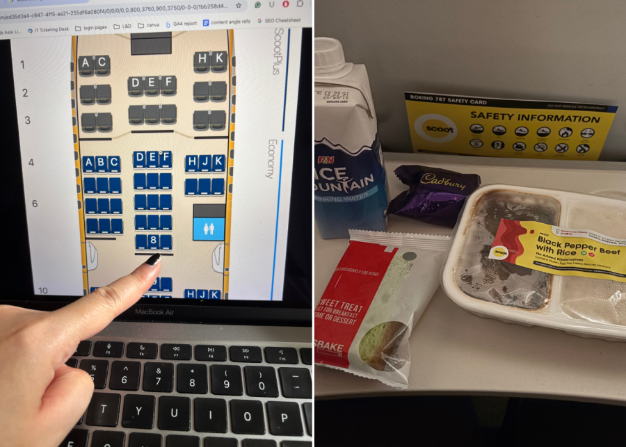 long haul economy flight tips